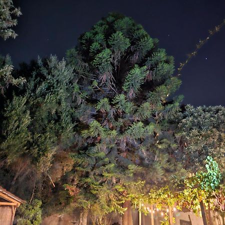 La Araucaria Cabana Con Tinaja San Felipe Luaran gambar