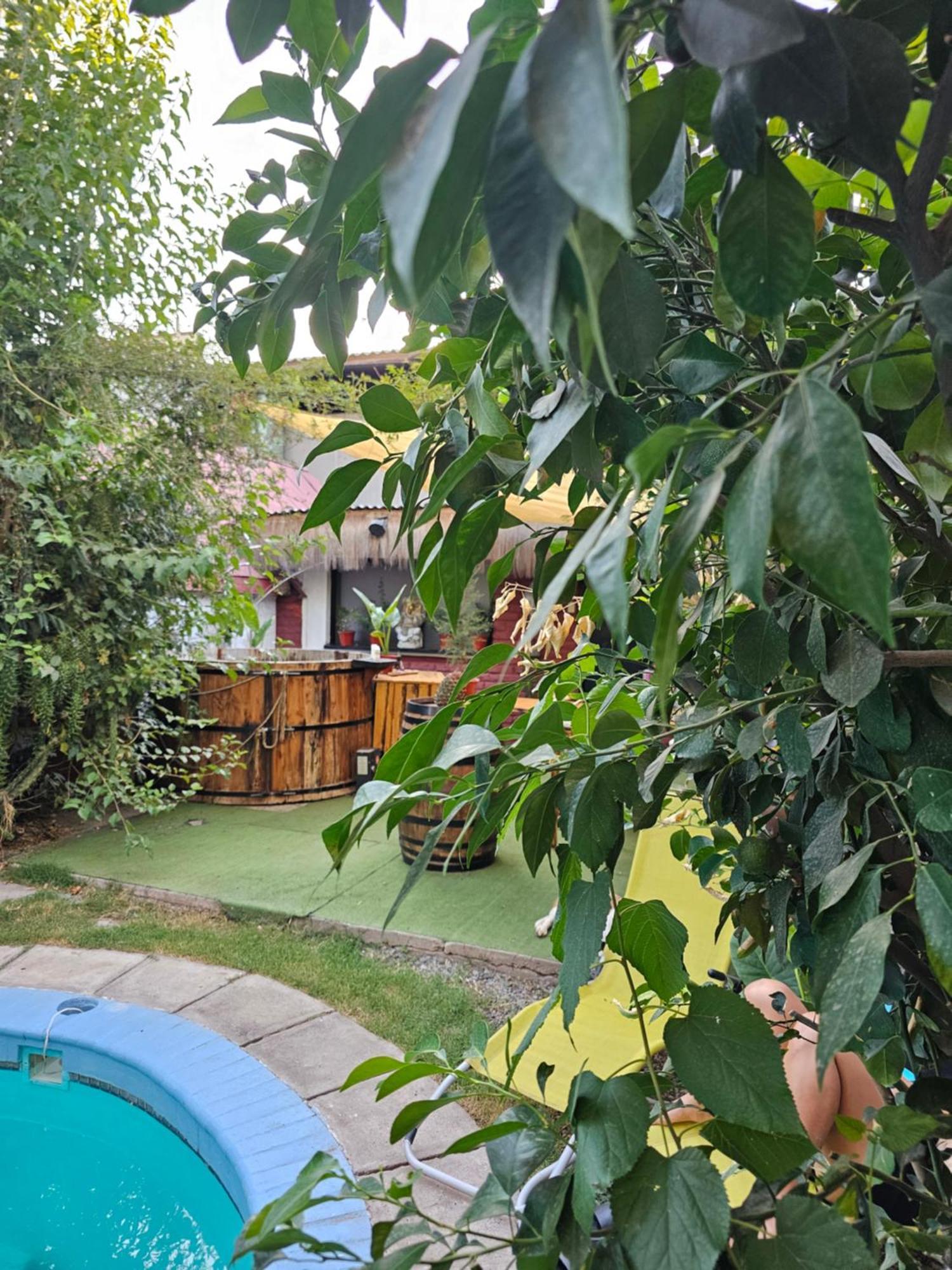 La Araucaria Cabana Con Tinaja San Felipe Luaran gambar