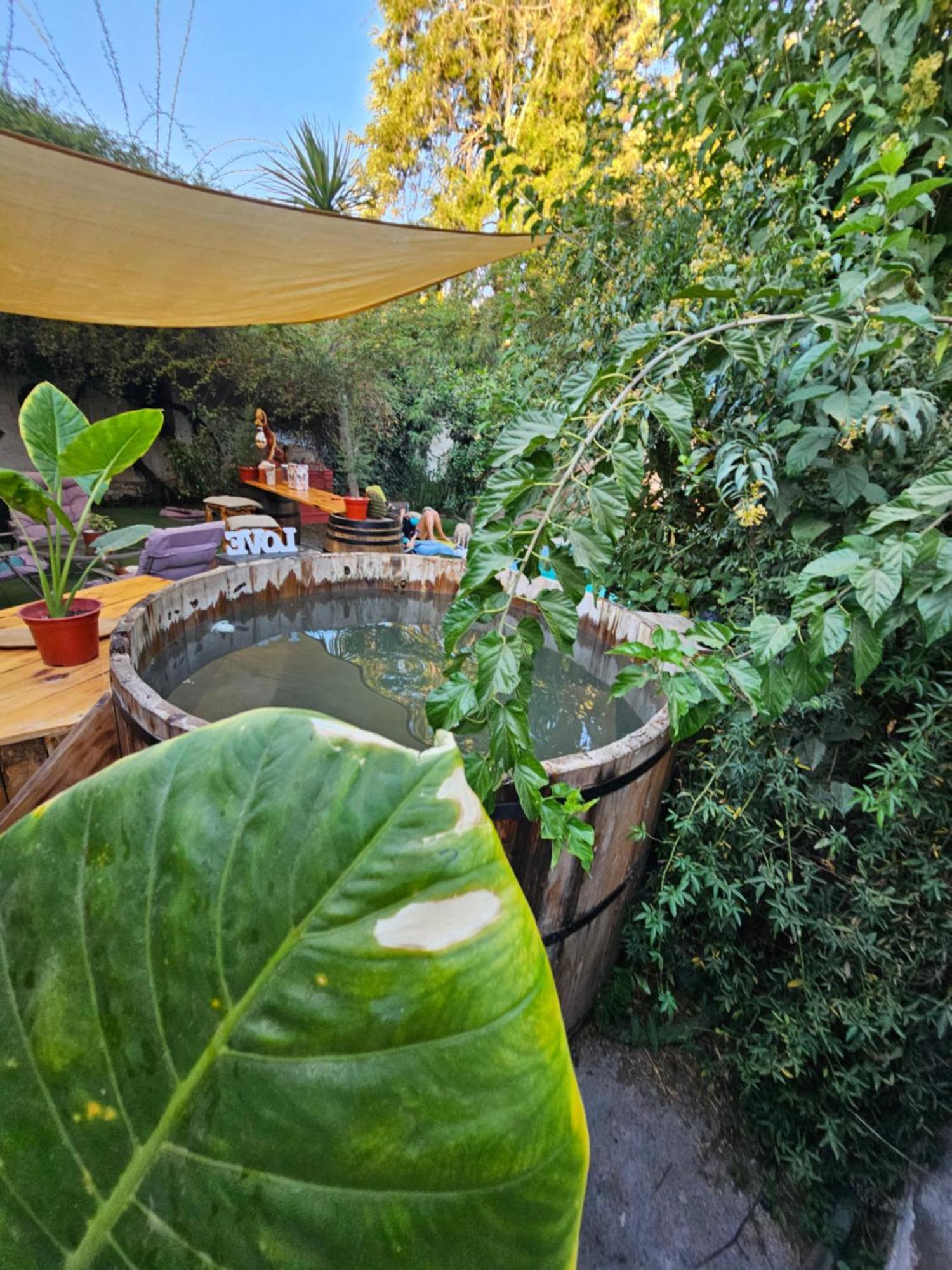 La Araucaria Cabana Con Tinaja San Felipe Luaran gambar