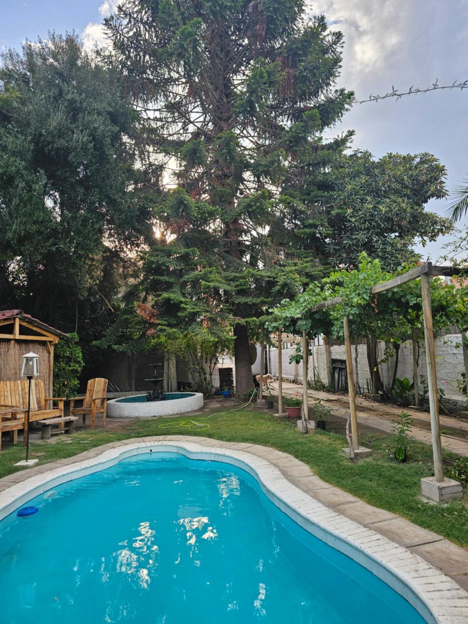 La Araucaria Cabana Con Tinaja San Felipe Luaran gambar